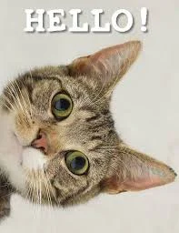 1767342189542.webp